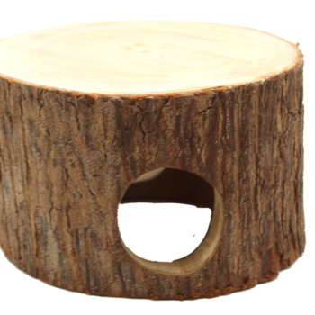 Gajah Cave , Höhle groß 15 x 18 cm