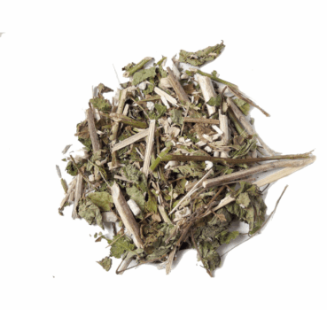 4017169095842_detail.png 4017169095842_detail.png