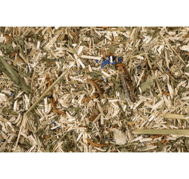 4017169095873_Detailbild_1.png 4017169095873_Detailbild_1.png