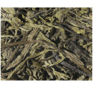 4017169112075_detail.png 4017169112075_detail.png