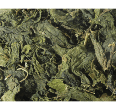 4017169112082_Detailbild_1.png 4017169112082_Detailbild_1.png