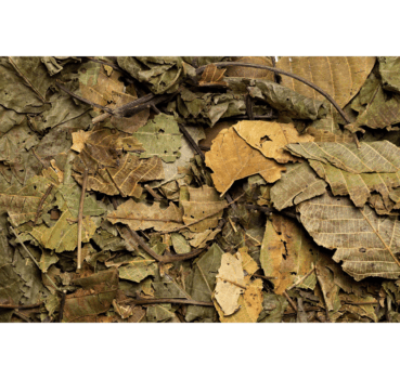 4017169112099_Detailbild_1.png 4017169112099_Detailbild_1.png