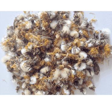 4017169112167_Detailbild_1.png 4017169112167_Detailbild_1.png