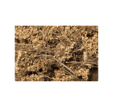 4017169112174_detail.png 4017169112174_detail.png