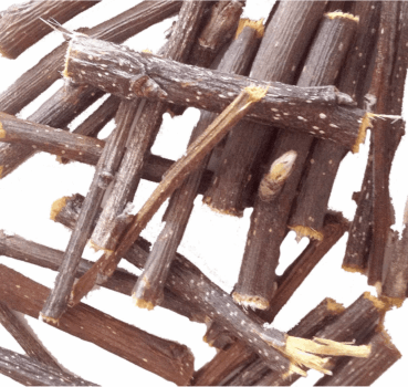 4017169112181_detail.png 4017169112181_detail.png