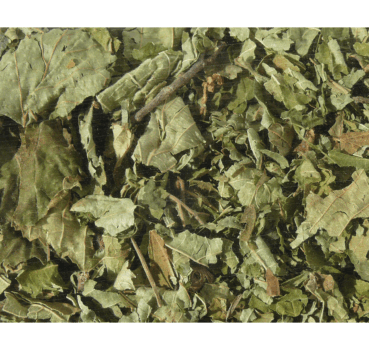 4017169112242_Detailbild_1.png 4017169112242_Detailbild_1.png