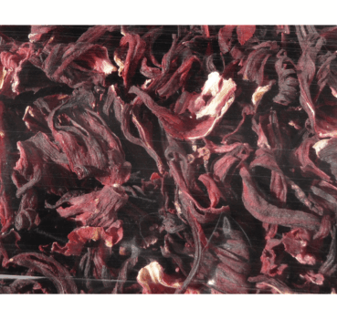 4017169112310_Detailbild_1.png 4017169112310_Detailbild_1.png