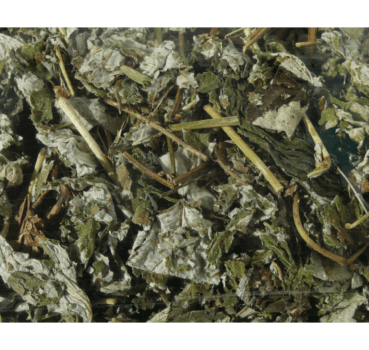 4017169112358_Detailbild_1.png 4017169112358_Detailbild_1.png