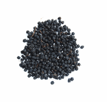 4017169112464_Detailbild.png 4017169112464_Detailbild.png