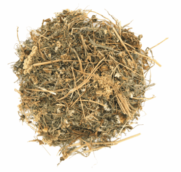 4017169112471_Detailbild_1.png 4017169112471_Detailbild_1.png