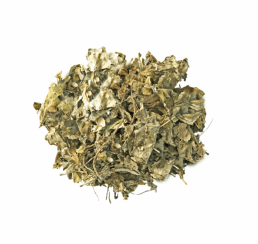 4017169112532_Detailbild.png 4017169112532_Detailbild.png