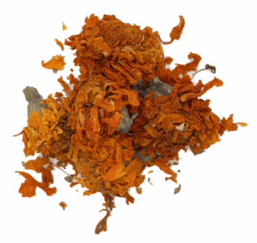 4017169112662_detail.png 4017169112662_detail.png