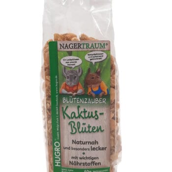 Kaktusblüten