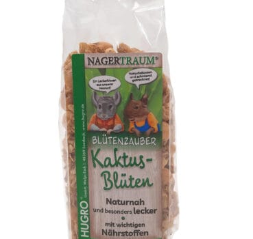 Kaktusblüten Kaktusblüten