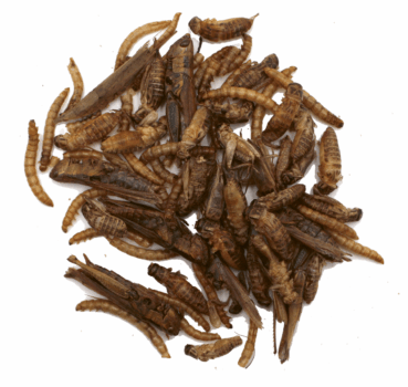 4017169112907_Proteinmix_Detail.png 4017169112907_Proteinmix_Detail.png