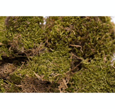 4017169113225_Detailbild_1.png 4017169113225_Detailbild_1.png