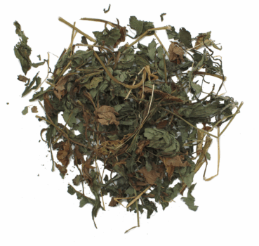 4017169113287_Detail.png 4017169113287_Detail.png