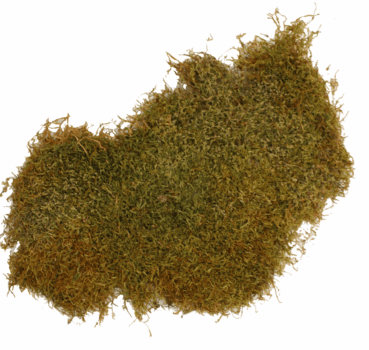 4017169115342_detail.png 4017169115342_detail.png