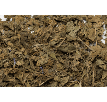 4017169115373_detail.png 4017169115373_detail.png