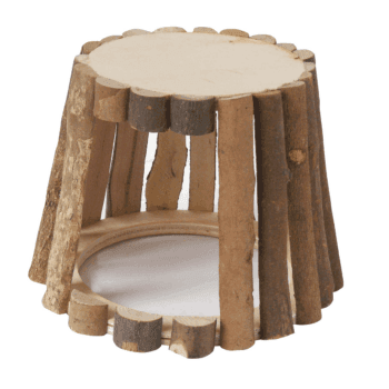 Auratus Camp, Höhe 15 cm, Grunddurchmesser 20 cm