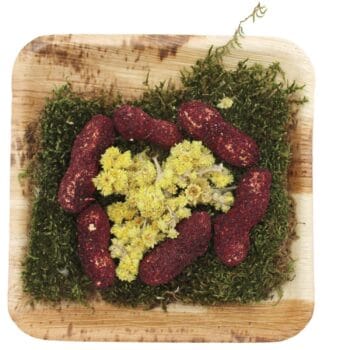 Erdnuss Menu auf Palmblattteller dekoriert