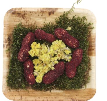 401716932182_Erdnuss-Menue_freigestellt.jpg 401716932182_Erdnuss-Menue_freigestellt.jpg