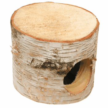 Auratus Cave , Höhle klein, 13 x 11 cm