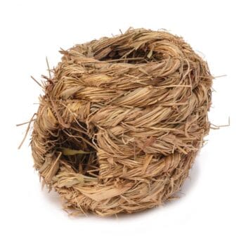 Glomerata Grasnest 'S', ca. 10 cm, 4 Öffnungen