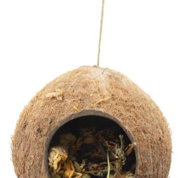 Die Kokosnuss zum Hinhängen oder Hinlegen ist mit HUGRO Blütenmischung gefüllt. Die Kokosnuss zum Hinhängen oder Hinlegen ist mit HUGRO Blütenmischung gefüllt.